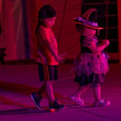 _MG_0182
