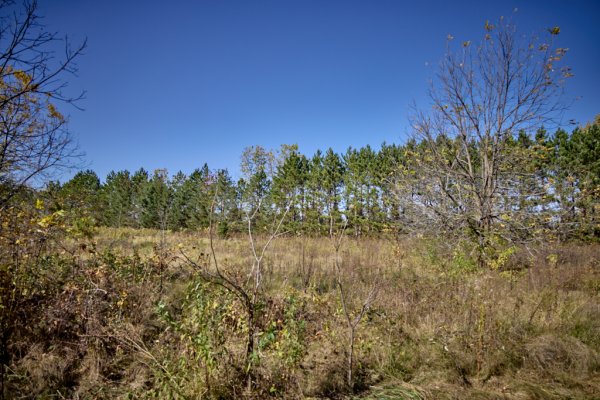 _MG_0236