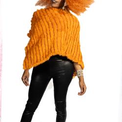 Nia02501